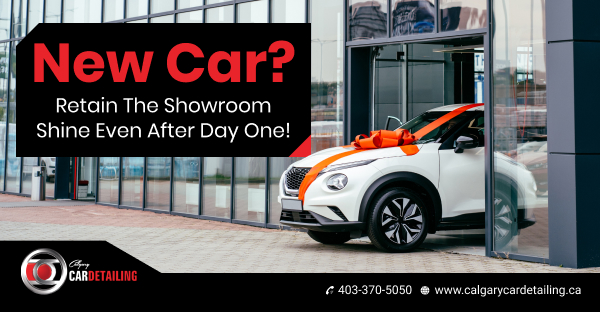Car Detailing Calgary
