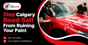 3M Paint Protection Film