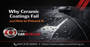 XPEL paint protection film