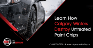 3M Paint Protection Film
