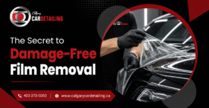 3M Paint Protection Film