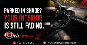 car detailing in Calgary